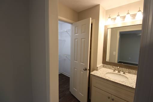 a bathroom with a sink and a mirror and a closet