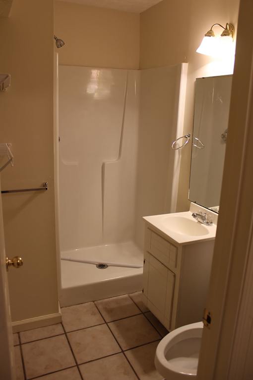 a bathroom with a shower and a sink and a toilet