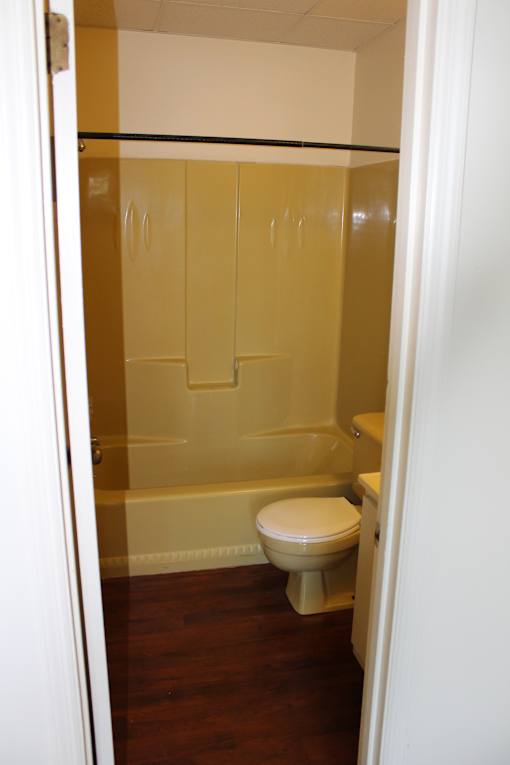 a small bathroom with a toilet and a bath tub