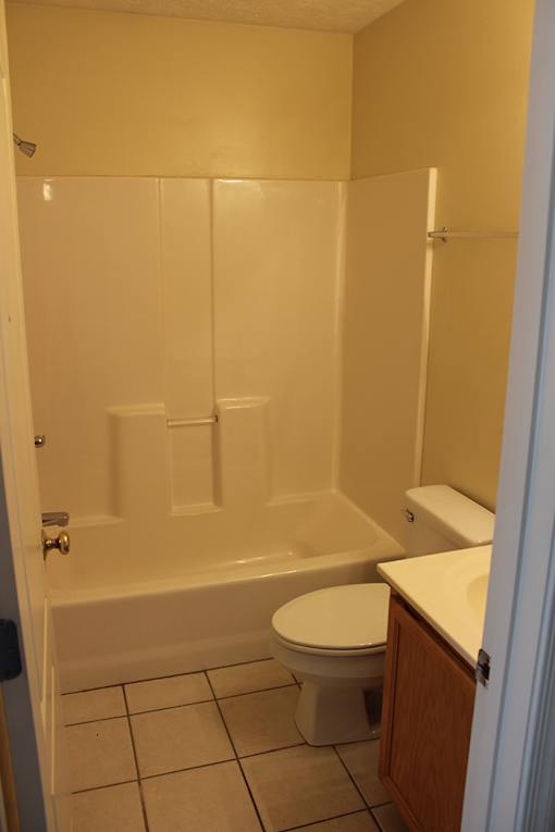 a bathroom with a toilet and a bath tub