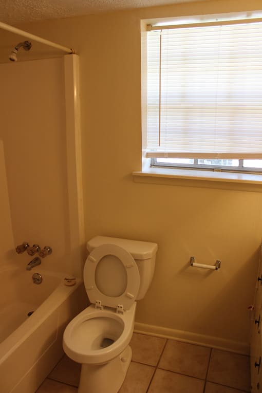 a bathroom with a toilet and a tub and a window