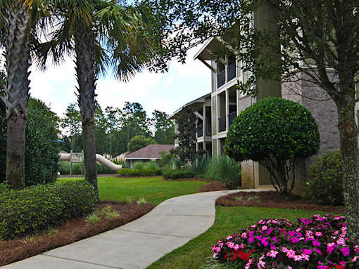 A walkway leads to a building with a green tree in front.