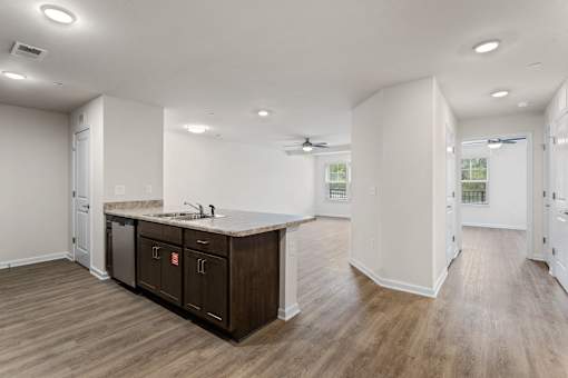 A kitchen with a counter and cabinets.