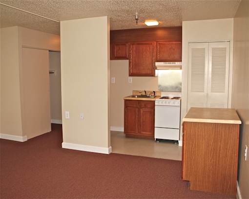 Inside of a unit at Croft House Elderly Apartments, with a stove top, an oven, a sink and wooden panels above brown carpet.