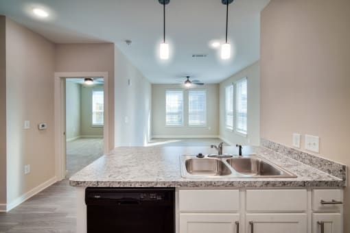 500 Northside Apartments Kitchen with sink and dishwasher, overlooking living room