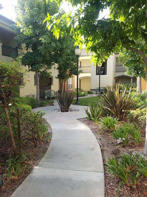 A concrete walkway leads through a landscaped area with a lamp post and buildings in the background.