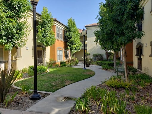 A sunny day in a residential area with a pathway and greenery.