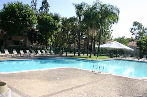 a swimming pool with chairs and trees around it