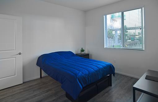 A bedroom with a blue bedspread and a small plant on the bedside table.