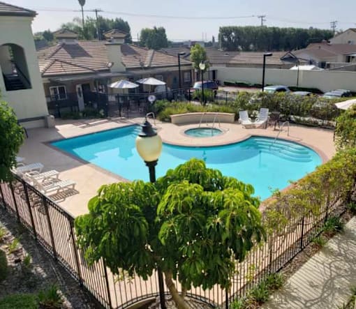 A pool surrounded by a black fence with a tree in the foreground.