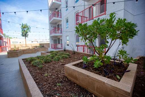 a planter in front of a building with trees and plants