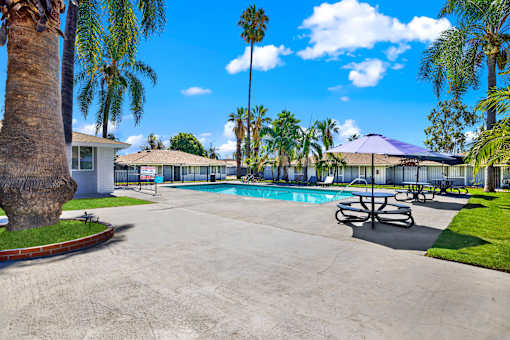 Resort style pool with picnic area and palm trees at Coventry Square Apartments, Upland, CA