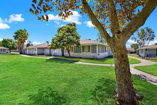 Community courtyard with mature trees and walking paths at Coventry Square Apartments, California