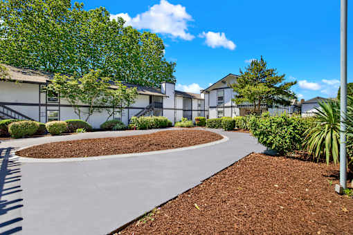 A residential area with houses and a curved driveway.