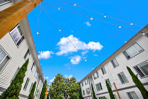 Apartment complex with trees and string lights.
