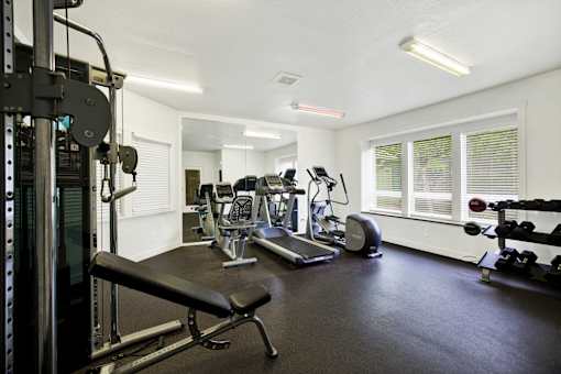 A well-equipped gym with a variety of machines and weights.