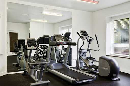 A gym with treadmills, exercise bikes, and elliptical machines.