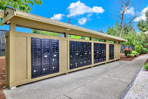 A series of black mailboxes are lined up on a sidewalk.