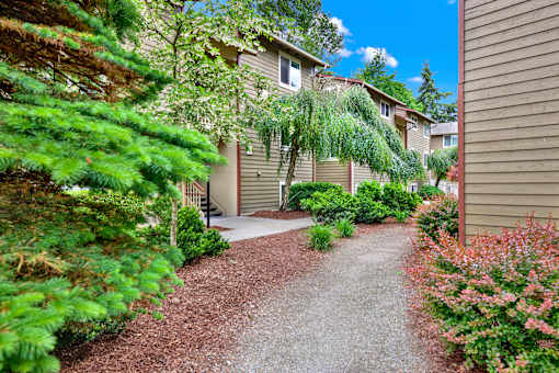 A pathway leads to a building entrance surrounded by greenery.