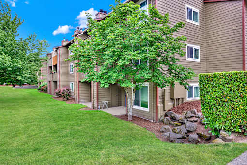 A tree in front of a building with a green lawn.