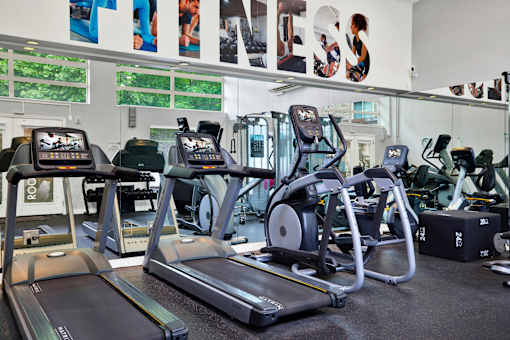 A gym with treadmills and exercise bikes.