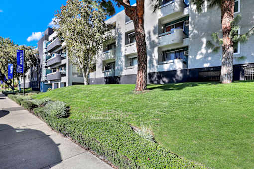 Lawn Area at Oxnard Plaza, North Hollywood, CA