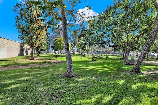 Lawn Area at Hobart Apartments, California, 90029