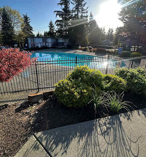 A pool surrounded by a black fence and green bushes.