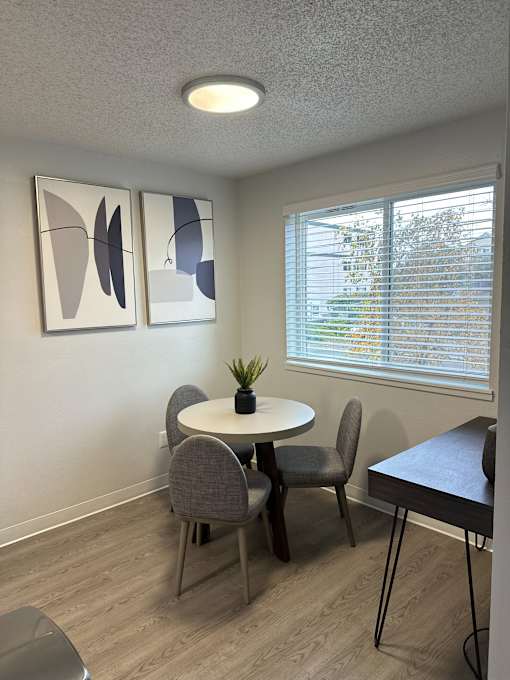 A room with a table, chairs and a plant.