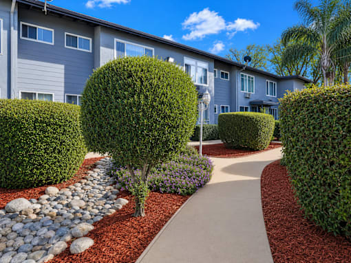 A pathway leads through a landscaped area with a variety of shrubs and a small tree.