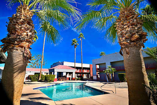 A pool surrounded by palm trees and a building in the background.