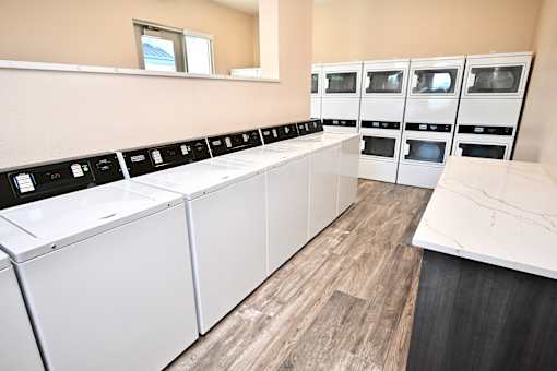 A row of white dishwashers and ovens in a kitchen.