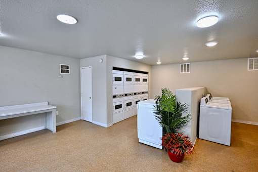 A laundry room with a washer and dryer, a bench, and a plant.