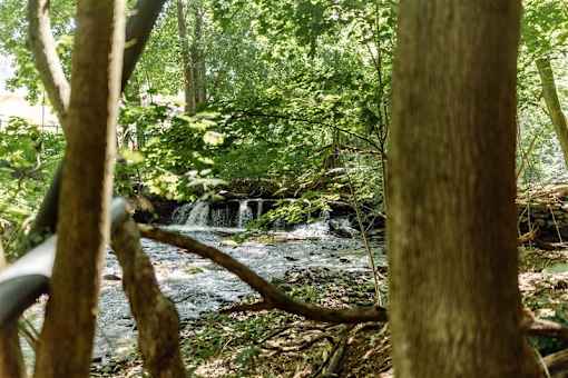 Springville Mill Vernon CT