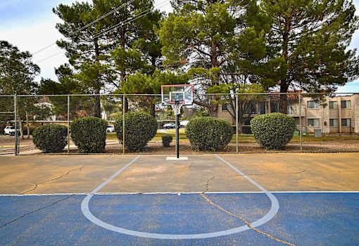 Basketball Court at Mountain Vista, Arizona, 85635