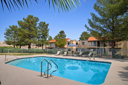 Swimming pool surrounded by trees