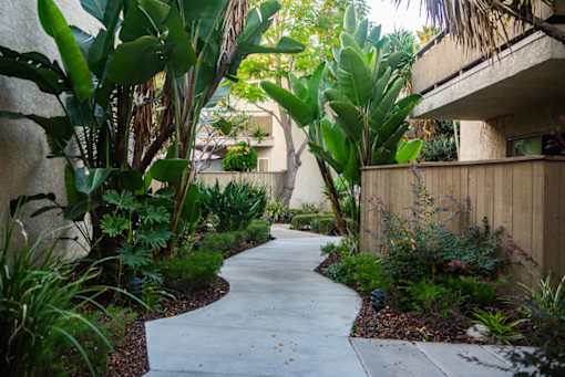 A concrete walkway leads through a lush garden.