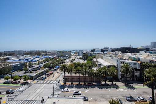A city street with cars and palm trees.