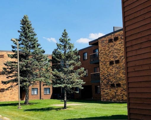 two pine trees in front of a brick building
