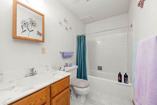 A bathroom with a toilet, sink, and shower.