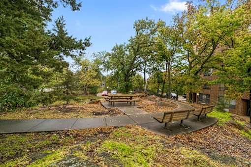 A park with a picnic table surrounded by trees.