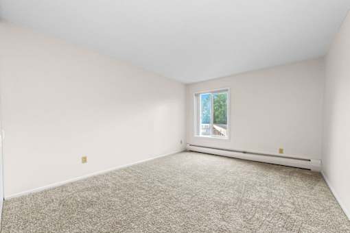A room with a carpeted floor and a window showing a view of a street.