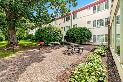 A tree-lined courtyard with picnic tables and a building in the background.