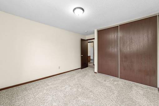 A room with a carpeted floor and a brown wardrobe.
