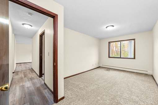 A room with a carpeted floor and a window with a view of trees outside.