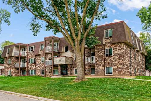 A large tree is in front of a brick apartment building.