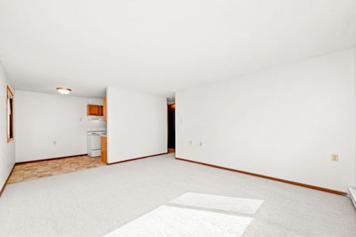 A white room with a white carpet and a white wall.