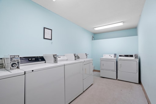 a laundry room with washes and dryers and a blue wall and white appliances