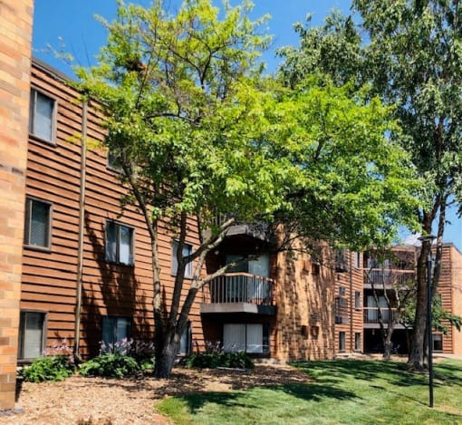an apartment building with a tree in the yard