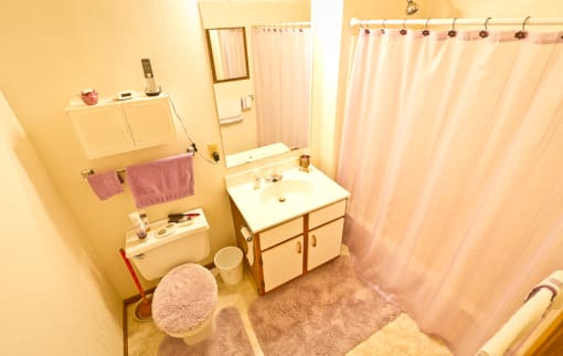 a bathroom with a sink and a toilet and a shower